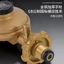 Tiêu chuẩn quốc gia 0.6 Van giảm áp hộ gia đình Khí hóa lỏng chuyên dụng Van an toàn chống cháy nổ khí26052810