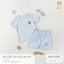 BỘ CỘC TAY JACLAG KẺ CHẤT COTTON ORGANIC [ SIÊU MỀM, MÁT, MỊN CO DÃN VÀ THẤM HÚT TỐT] SZ CHO BÉ TỪ 6/9M - 4Y (HCT56)