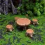 HFTOY 5 Cây thu nhỏ Stump Phụ kiện nghệ thuật sân vườn Trang trí bằng nhựa, Phụ kiện cảnh quan sân vườn, Đồ thủ công sáng tạo bằng nhựa ~