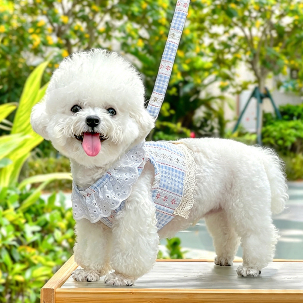 Thú Cưng Chó Ngực Lưng Dây Xích Hoa Pháp Ren Áo Phong Cách Phá Vỡ Đi Chơi Chuyên Dụng Chó Nhỏ Bichon Ren Đi Bộ Mèo Chó Dây Xích