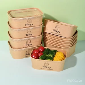 Cắm Trại Dày Mang Đi Dã Ngoại Bát Giấy Kraft Có Bao Bì Cơm Vuông Bento Giấy Dùng Một Lần Hộp Dã Ngoại Bát Salad JPLQ