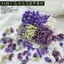 Henna Vật Liệu Trang Trí Hoa Nhỏ Mini Bud Tím 4 Lưới Tự Làm Handmade Móng Tay Trang Sức