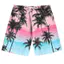2026 Mới Cây Dừa Họa Tiết 3D In Unisex Nhanh Khô Đi Biển Quần Short