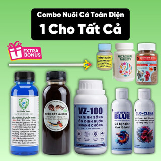 BETTA CARE - Combo Nuôi Cá Toàn Diện - Combo Cho Người Mới Nuôi Cá