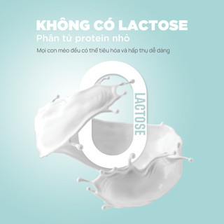 [ Thùng ] Pate Sữa Dê Cho Mèo PetQ 70g - Công Thức 50% Thịt 50% Sữa Dê