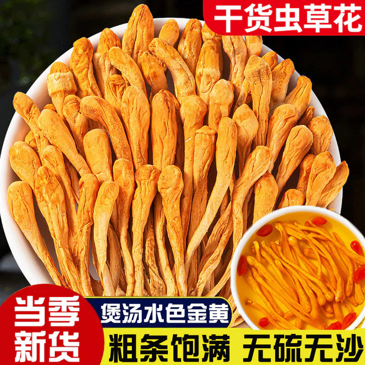 Đông Trùng Hạ Thảo Hàng Khô Tươi Chính Hãng Bắc Đông Trùng Hạ Thảo Vàng Nấm Súp Chất Liệu Thịt Cừu Bụng Vi Khuẩn Đặc Biệt Cấp Chính Thức Đầu Cửa