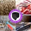Ống Tay Rỗng Bện Nylon Bảo Vệ Cáp Cường Độ Cao Chống Mài Mòn Dây Bảo Vệ Cho Nguồn Dữ Liệu Dây