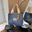 Túi Bento Dung Tích Lớn Túi Vải Dễ Thương Đơn Giản Denim kitty Túi Xách Phù Hợp Với Di Động Đi Chơi Hộp Cơm Trưa Bento Túi Xách
