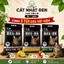 Combo 3 Bao Cát Nhật Đen Cho Mèo 9L 3.5kg Vón Cục Khử Mùi - Wanna Pet SG