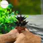 Houdou Mini Chùa Tượng Cổ Xây Dựng Mô Hình Pavilion Trang Trí Mô Phỏng Tượng Zen Garden Bể Cá Cảnh Nhà Búp Bê Trang Trí VN
