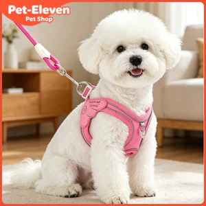 Dây Xích Chó Áo Phong Cách Dây Đeo Ngực Thoáng Khí Nhiều Màu Chó Nhỏ Mèo Dây Đeo Ngực Teddy Bichon Con Chó Con Mùa Hè Thú Cưng Dây Đeo Ngực Đi Chơi Chó Đi Bộ Dây Xích