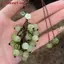 ZK Nho Mặt Dây Chuyền Lily Of The Valley DIY Craft Kit Điện Thoại Tươi Và Dễ Thương Quyến Rũ Túi Charm Sáng Tạo Móc Khóa VN