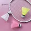 < WHPHous-t > 5 Chiếc Homehold Cầu Lông Thể Thao Bền Đẹp Trong Nhà Cầu Lông Bằng Nhựa Nylon Bóng Huấn Luyện Đẹp