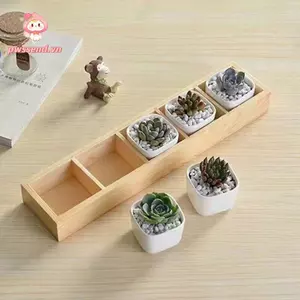 PWSSEND Khay đựng chậu hoa mọng nước, Hộp đựng chậu cây nhiều lưới, Hộp hoàn thiện chất lượng cao Hộp trưng bày trang sức Pallet Máy tính để bàn đa chức năng Đồ lặt vặt