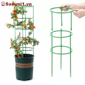 ZK Có Thể Điều Chỉnh Cây Cà Chua Hỗ Trợ Lồng 60-100 Cọc Cây Trồng Tiếp Liệu VN