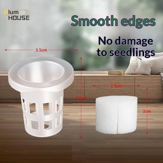 Bộ thủy canh công suất cao PlumHOUSE 10 / 30 / 50 Bộ xốp vuông để trồng cây hiệu quả VN