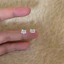 Bông Tai Mèo Nữ Đơn Giản Dễ Thương Mèo Con Sinh Viên Zircon Bông Tai Ngọt Ngào Đi Lại Phụ Kiện Mini