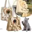 Túi xách CAST Pet Ba lô Túi xách tay hình sư tử di động