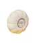 Nhà Bếp Dụng Cụ Tiện Dụng Treo Tường Bám Phim Bao Hộp Bảo Quản Găng Tay Dùng Một Lần Khai Thác Bao Giày Mũ Tắm Bám Túi Bảo Quản O94H