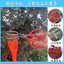 2023 Tứ Xuyên Tiêu Kéo Máy Chọn Wolfberry Dụng Cụ Phát Minh Mới Dụng Cụ Nông Nghiệp Chọn Dụng Cụ Tiện Dụng Kéo