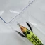 Hộp đựng dụng cụ câu cá Acrylic 5 ngăn cho mồi tôm bằng gỗ Spinners Minnows
