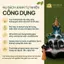 Combo 2 Túi Nhang Nụ Bách Xanh (Tổng 10 nụ) | Gỗ Bách Xanh Tự Nhiên | Ít Khói | Xông Nhà - Thư Giãn