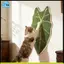 Bảng cào mèo Sisal-Thống rách, dính cho mọi bề mặt Đồ chơi cho mèo