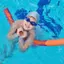 Ống phao Sti Phao linh hoạt hỗ trợ bơi lội cho trẻ em Người lớn Aqua Tập thể dục dưới nước Bể bơi thể thao giải trí mới