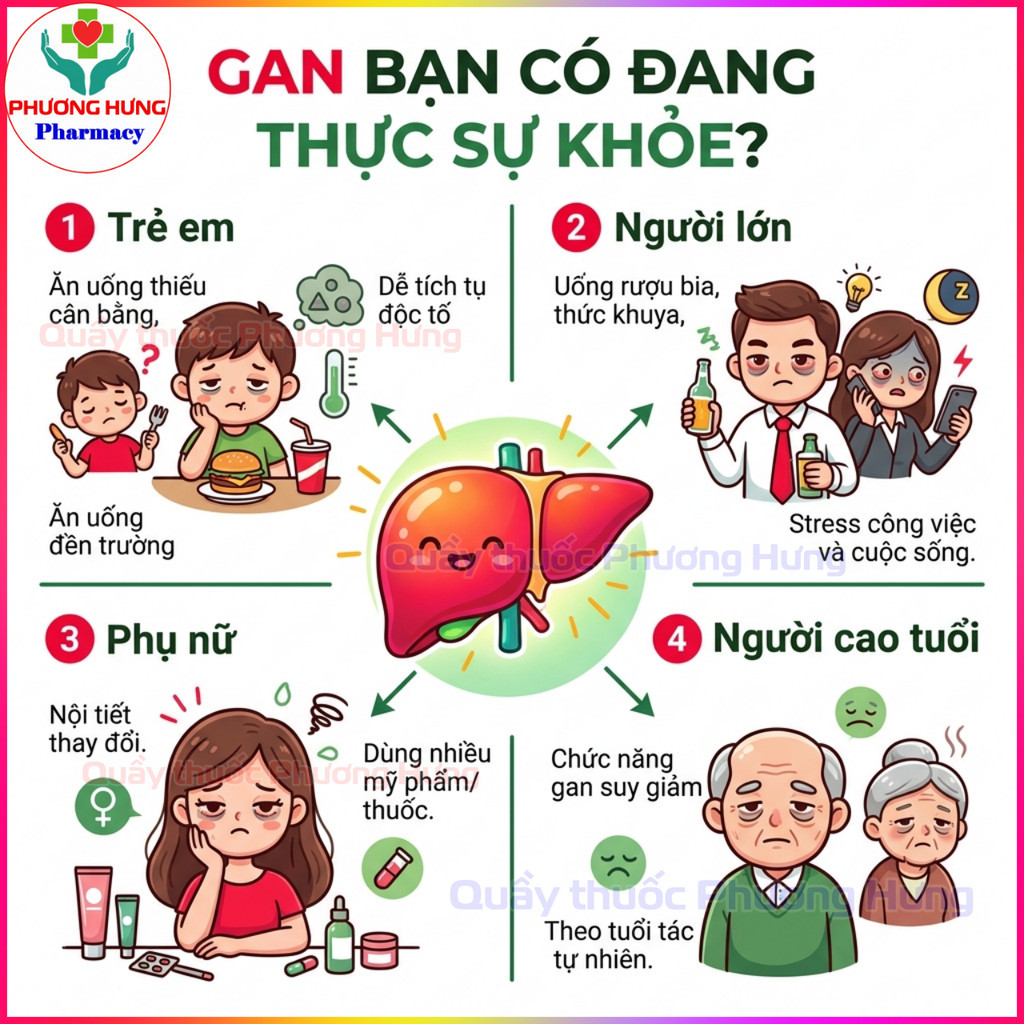 Giải Độc Gan Việt Đức Cà Gai Leo, Giúp Giải Độc Gan, Giảm Men Gan, Gan Nhiễm Mỡ - Hộp 60 Viên