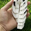 < Pluscloth > Đồ chơi thần tài bóng thể thao xoắn in 3d – Giảm căng thẳng Bóng đá xoay xoắn ốc Bóng chày Tennis Golf Bàn chơi bóng rổ cho trẻ em Người lớn Đồ chơi bóng xoay