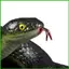 Prank Snake Đồ chơi đùa thực tế Thiết bị sợ chim cho sân ngoài Sân sau Bãi cỏ hiên nhà Công viên trang trại Sân saixit2vn