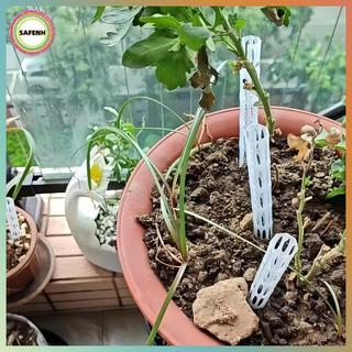 Ống sục khí cây SAFENH - Ngăn ngừa quá nước & rễ Rot cho tất cả các chậu hoa VN