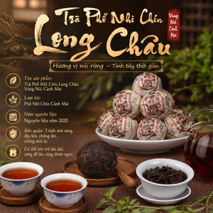 TRÀ PHỔ NHĨ CHÍN LONG CHÂU VÙNG NÚI CẢNH MẠI – 5 NĂM TRẦM HƯƠNG LAN MẬT NGỌT