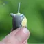 HFTOY Mini Cố Định Pin Vườn Cổ Tích Thu Nhỏ Gnomes Moss Terrariums Nhựa Thủ Công Các Bức Tượng Nhỏ Cho Phụ Kiện Trang Trí Nhà ~