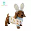 SiaBiced Dachshund Tượng Thỏ Theo Chủ Đề Ngày Lễ Chó Trong Thỏ Trang Phục Tượng Thiết Kế Dễ Thương Lễ Phục Sinh Dachshund Tượng Cho Để Bàn, Đồ Trang Trí