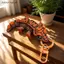 # HB # Mini Mi Sừng Geo Móc Khóa 3D In Hình Độc Đáo Trang Trí Nhà Sưu Tập Thủ Công Cho Phòng Ngủ Phòng Khách.