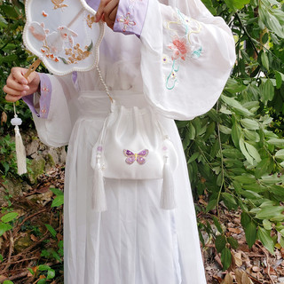 Mới Đường Và Nhà Tống Lụa Satin Phong Cách Cổ Đại Hanfu Bướm Thêu Tua Rua Túi