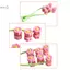 Máy Mát Xa Giảm Béo Mặt Di Động Ne Cheek Nâng Massage Con Lăn Chữ V Mặt Hướng Dẫn Sử Dụng Massage Chống Nhăn Chăm Sóc Da Massage