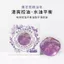 ✨Cửa hàng được đề xuất✨Tinh Dầu Xà Phòng Thực Vật Tự Nhiên Xà Phòng Handmade Hoa Cúc Cánh Hoa Xà Phòng Làm Sạch Tắm Handmade Tinh Dầu Xà Phòng Nam Nữ 5.23