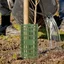 VVDZA Sapling Tree Cover, Xanh Dày Thân Cây Bảo Vệ, Cao Cấp Có Khóa PP Có Thể Điều Chỉnh Bảng Cây Sân Vườn Cảnh Quan Ngoài Trời