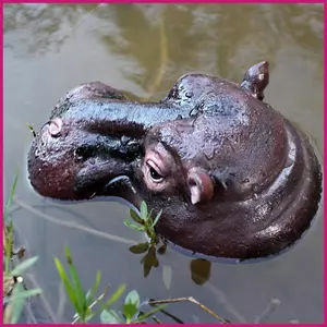 Hippo Head Garden Tượng Nhựa Trang Trí Chống Thấm Nước Điêu Khắc Thực Tế Hippo Điêu Khắc Trang Trí Ngoài Trời Cho shopidaevn