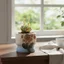 Thiết kế mộc mạc Ấm hoa gốm thô Hình dạng sáng tạo Nồi mọng nước Mini Tiết kiệm không gian cho bệ cửa sổ