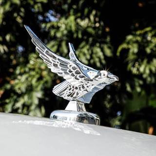 CyinYP Trang Trí Ngoại Thất 1 Chiếc Xe Bonnet Phía Trước Hood Đại Bàng Trang Trí Huy Hiệu Tự Động Mặt Trước 3D Đại Bàng Quốc Huy Sửa Đổi Xe Phụ Kiện Vinh Quang