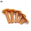 XOITOP 43 / 54 / 70 / 80 / 83mm Phạm vi lái xe cao su Golf Tee Giá đỡ Tee Luyện tập VN