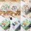 Ví đựng tiền xu NORDICLIFE, 3 lần thẻ tín dụng bằng da PU Holoder, Mini dễ thương cho chó con INS Style Ví đựng tiền cho bé gái Quà tặng học sinh