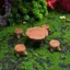 HFTOY 5 Cây thu nhỏ Stump Phụ kiện nghệ thuật sân vườn Trang trí bằng nhựa, Phụ kiện cảnh quan sân vườn, Đồ thủ công sáng tạo bằng nhựa ~