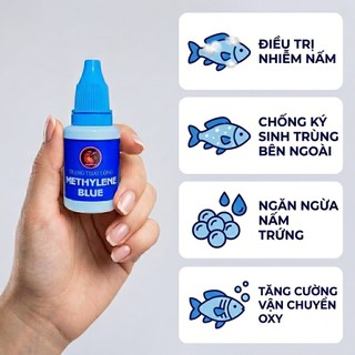 Xanh Methylene Nồng Độ Cao Cho Cá Cảnh - Xử Lý Các Vấn Đề Ngoài Da, Nấm, Ký Sinh Trùng Cho Cá Cảnh