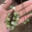 KUZHEN Nho Mặt Dây Chuyền Lily Of The Valley DIY Craft Kit Điện Thoại Tươi Và Dễ Thương Quyến Rũ Túi Charm Sáng Tạo Móc Khóa HOT