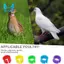 200 Chiếc 8 Mm Coturnix Quail Chân Ban Nhạc Bé Gà Con Chân Ban Nhạc Bồ Câu Chân Gà Ban Nhạc