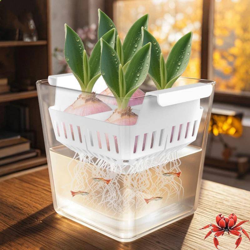 AN.MART Hộp Thủy Canh Có Giỏ Hỗ Trợ Thoáng Khí Hạt Hoa Tulip Chậu Hoa Thủy Canh 4 Lỗ Chậu Hoa Không Đất Trang Trí Nhà Cửa VN